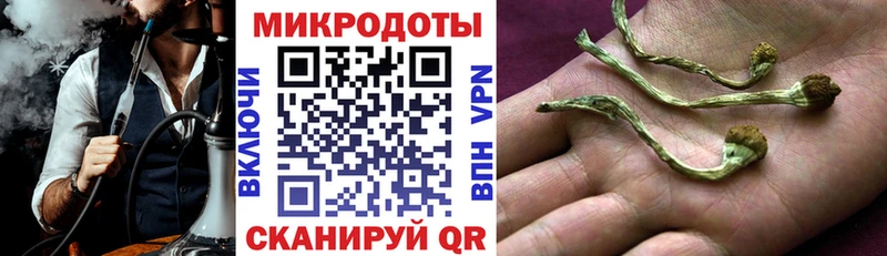 Галлюциногенные грибы Cubensis  Купить закладки  Грайворон 